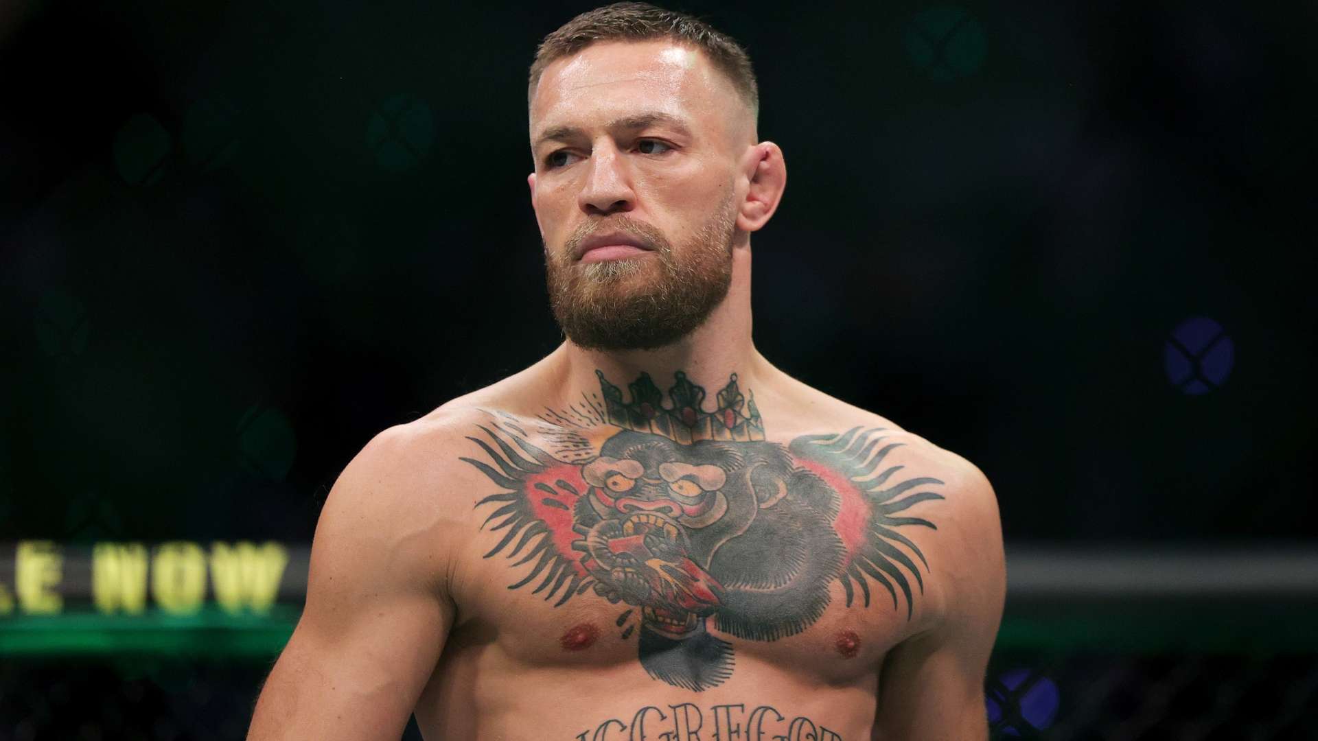 文章将针对 文章将针对